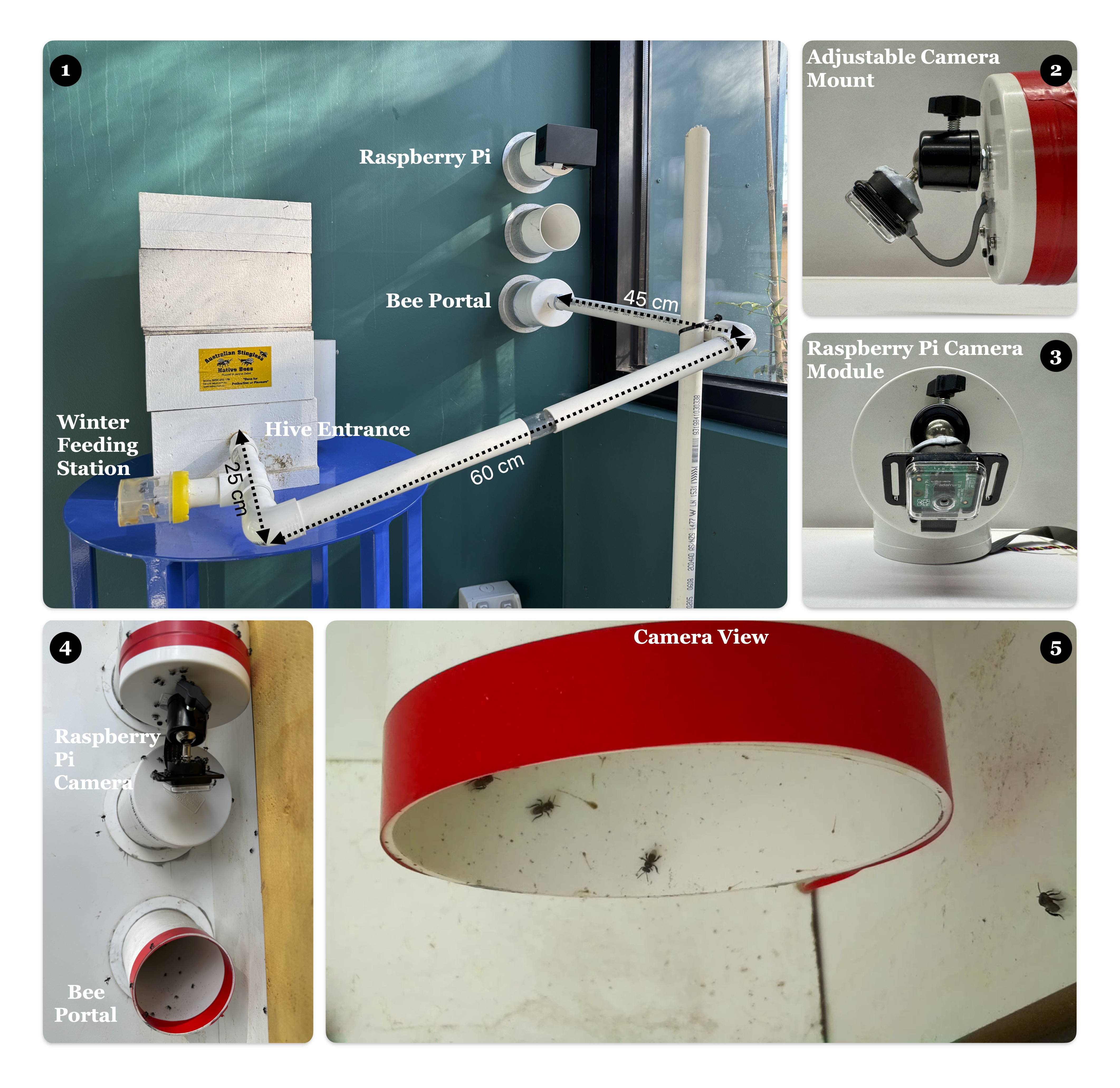 Temperature vs Bee Activity